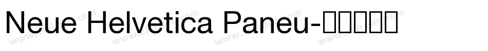 Neue Helvetica Paneu字体转换